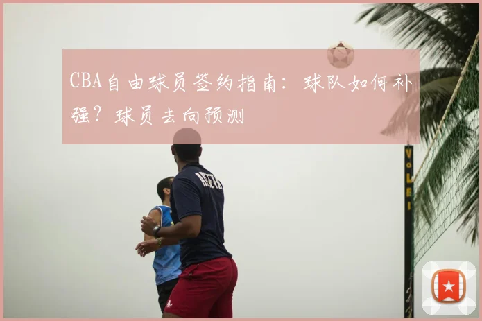 CBA自由球员签约指南:球队如何补强?球员去向预测