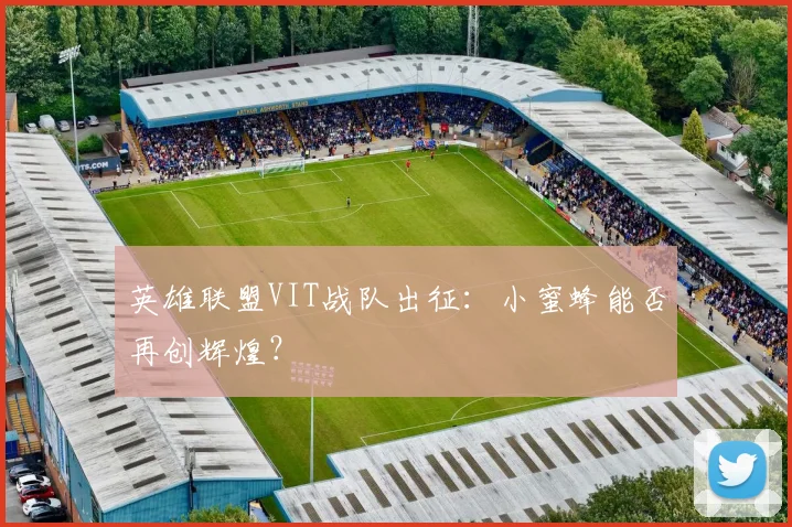英雄联盟VIT战队出征：小蜜蜂能否再创辉煌？
